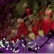 ヒメ日記 2026/02/18 18:18 投稿 高瀬 人妻楼 熊谷店