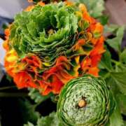 ヒメ日記 2026/02/23 13:49 投稿 高瀬 人妻楼 熊谷店