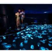 ヒメ日記 2026/02/28 17:15 投稿 高瀬 人妻楼 熊谷店