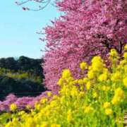 ヒメ日記 2026/03/08 08:14 投稿 高瀬 人妻楼 熊谷店