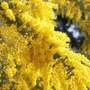 ヒメ日記 2026/03/08 18:04 投稿 高瀬 人妻楼 熊谷店