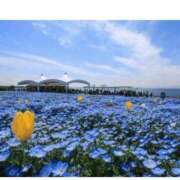 ヒメ日記 2026/03/13 19:22 投稿 高瀬 人妻楼 熊谷店