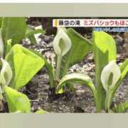 ヒメ日記 2026/03/17 17:23 投稿 高瀬 人妻楼 熊谷店