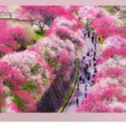 ヒメ日記 2026/03/25 17:38 投稿 高瀬 人妻楼 熊谷店