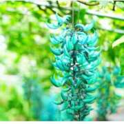 ヒメ日記 2026/03/26 18:37 投稿 高瀬 人妻楼 熊谷店