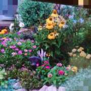 ヒメ日記 2026/03/30 16:45 投稿 高瀬 人妻楼 熊谷店