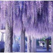 ヒメ日記 2026/03/31 19:40 投稿 高瀬 人妻楼 熊谷店