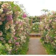 ヒメ日記 2026/03/31 20:00 投稿 高瀬 人妻楼 熊谷店