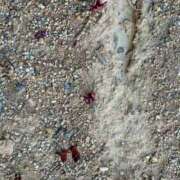 ヒメ日記 2026/04/12 08:19 投稿 高瀬 人妻楼 熊谷店