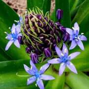 ヒメ日記 2026/04/20 20:36 投稿 高瀬 人妻楼 熊谷店