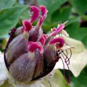 ヒメ日記 2026/04/21 18:19 投稿 高瀬 人妻楼 熊谷店