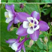 ヒメ日記 2026/04/21 18:44 投稿 高瀬 人妻楼 熊谷店