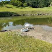 ヒメ日記 2026/06/21 12:19 投稿 高瀬 人妻楼 熊谷店