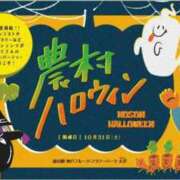 ヒメ日記 2026/10/04 10:44 投稿 高瀬 人妻楼 熊谷店