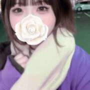 ヒメ日記 2026/05/13 12:28 投稿 ゆあ 白いぽっちゃりさん
