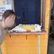 ヒメ日記 2026/05/25 19:34 投稿 にな☆ギャップ溢れる優等生♪ 妹系イメージSOAP萌えフードル学園 大宮本校