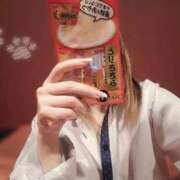ヒメ日記 2026/06/12 20:27 投稿 ねね お姉さんSelect