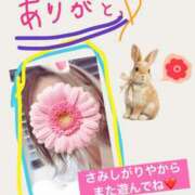 ヒメ日記 2026/05/02 07:43 投稿 なち 舐めフェチの会