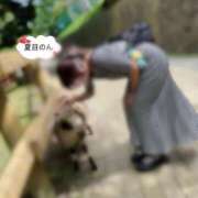 ヒメ日記 2026/07/15 09:05 投稿 夏目のん FORTE