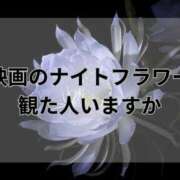 ヒメ日記 2026/05/04 18:10 投稿 須藤　えりな 妻の本音