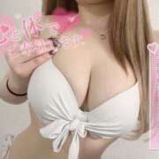 ヒメ日記 2026/04/23 11:27 投稿 野呂みなみ お姉さんCLUB