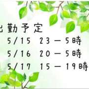 ヒメ日記 2026/05/12 12:42 投稿 結城（ゆうき） 熟女の風俗最終章 名古屋店