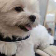 ヒメ日記 2026/04/26 12:54 投稿 なつ ラブライフ越谷