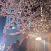 ヒメ日記 2026/04/28 09:24 投稿 なつ ラブライフ越谷