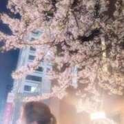 ヒメ日記 2026/05/24 16:04 投稿 なつ ラブライフ大宮岩槻店