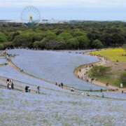ヒメ日記 2026/05/04 13:57 投稿 ななみ ラブハーレム(水戸)