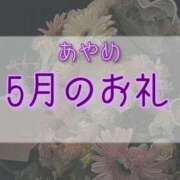 ヒメ日記 2026/06/12 14:32 投稿 あやめ 奈良市ちゃんこ