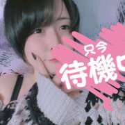 ヒメ日記 2026/10/20 14:40 投稿 あやめ 奈良市ちゃんこ