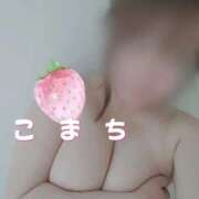 ヒメ日記 2026/04/23 11:40 投稿 こまち 愛知三河安城岡崎ちゃんこ