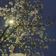ヒメ日記 2026/04/26 19:41 投稿 りさ Venti大阪