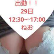 ヒメ日記 2026/04/23 13:55 投稿 ねお【業界未経験】 茨城水戸ちゃんこ