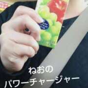 ヒメ日記 2026/05/02 12:25 投稿 ねお【業界未経験】 茨城水戸ちゃんこ