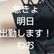 ヒメ日記 2026/05/13 22:15 投稿 ねお【業界未経験】 茨城水戸ちゃんこ