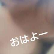 ヒメ日記 2026/05/15 06:30 投稿 ねお【業界未経験】 茨城水戸ちゃんこ