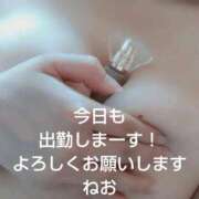 ヒメ日記 2026/05/27 10:05 投稿 ねお【業界未経験】 茨城水戸ちゃんこ