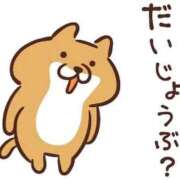 ヒメ日記 2026/06/16 20:35 投稿 ねお【業界未経験】 茨城水戸ちゃんこ