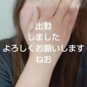ヒメ日記 2026/06/20 12:15 投稿 ねお【業界未経験】 茨城水戸ちゃんこ