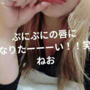 ヒメ日記 2026/10/09 23:15 投稿 ねお【業界未経験】 茨城水戸ちゃんこ