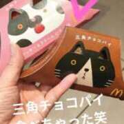 ヒメ日記 2026/10/11 22:35 投稿 ねお【業界未経験】 茨城水戸ちゃんこ