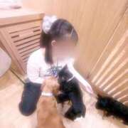ヒメ日記 2026/07/08 15:09 投稿 みれい それいけ！ヤリスギ学園～舐めたくてグループ横浜校～