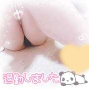 ヒメ日記 2026/06/07 14:14 投稿 ほなみ 妻天 京橋店