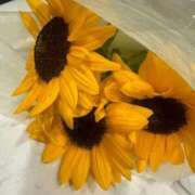 ヒメ日記 2026/04/28 00:53 投稿 ティファニー（圧倒的爆乳美女！ ハニービー（Honey Bee）