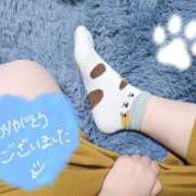ヒメ日記 2026/05/22 22:06 投稿 さや CLUB DEEP名古屋