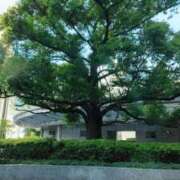 ヒメ日記 2026/05/17 15:36 投稿 えみり CLUB DEEP名古屋