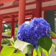 ヒメ日記 2026/06/03 08:22 投稿 有愛(ありあ) PLUS東大阪店（高井田・長田）