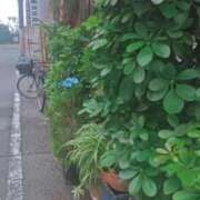 ヒメ日記 2026/09/23 10:52 投稿 十和子(とわこ) PLUS東大阪店（高井田・長田）
